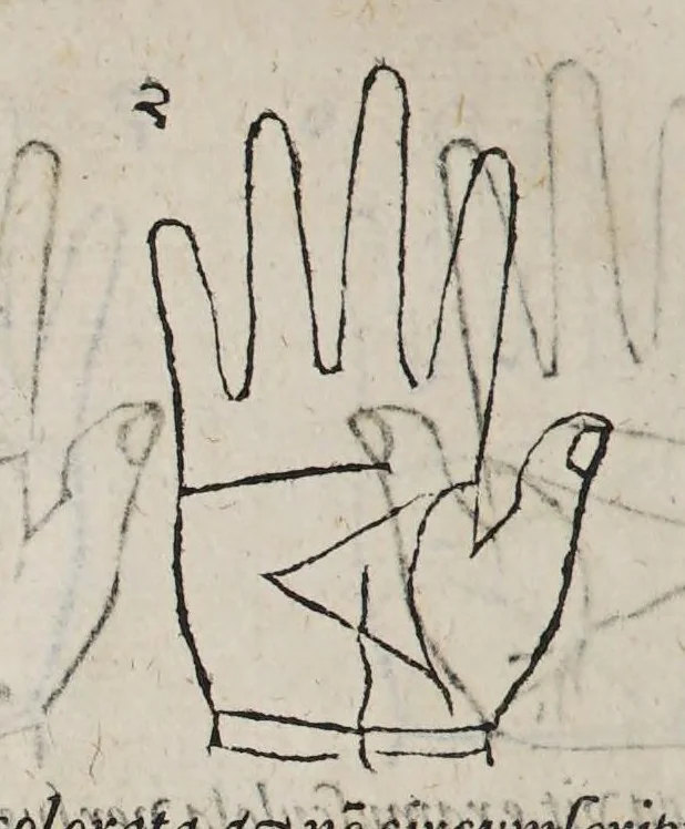 An illustration from Opus mathematicum octo libros complectens, : innumeris propemodum figuris idealibus manuum et physiognomiae, aliisque adornatum, quorum sex priores libri absolutissimae cheiromantiae theoricam, praxim, doctrinam, artem, & experientiam verissimam continent. Septimus physiognomiae dispositionem, hominʹumque omnium qualitates & complexiones. Octauus periaxiomata de faciebus signorum, & quid sol in vnaquaque domo existens, natis polliceatur. Remedia quoque omnium ægritudinum complectitur. Et naturalem astrologiam atq[ue] effectus lunae quoad diuersas ægritudines. Item isagogen astrologiæ iudiciariae, & totius diuinatricis artis encomia. Omnibus matheseos, cheiromantiae, philosophiae, & medicinæ studiosis vtiles ac necessarij., 1583, leaf 344