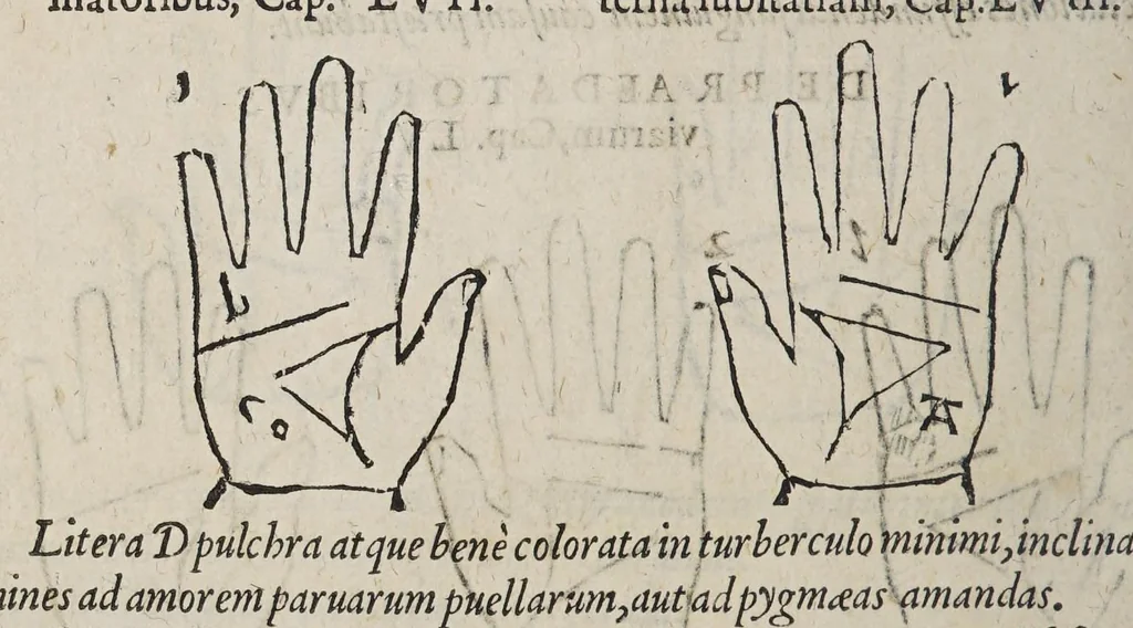 An illustration from Opus mathematicum octo libros complectens, : innumeris propemodum figuris idealibus manuum et physiognomiae, aliisque adornatum, quorum sex priores libri absolutissimae cheiromantiae theoricam, praxim, doctrinam, artem, & experientiam verissimam continent. Septimus physiognomiae dispositionem, hominʹumque omnium qualitates & complexiones. Octauus periaxiomata de faciebus signorum, & quid sol in vnaquaque domo existens, natis polliceatur. Remedia quoque omnium ægritudinum complectitur. Et naturalem astrologiam atq[ue] effectus lunae quoad diuersas ægritudines. Item isagogen astrologiæ iudiciariae, & totius diuinatricis artis encomia. Omnibus matheseos, cheiromantiae, philosophiae, & medicinæ studiosis vtiles ac necessarij., 1583, leaf 344