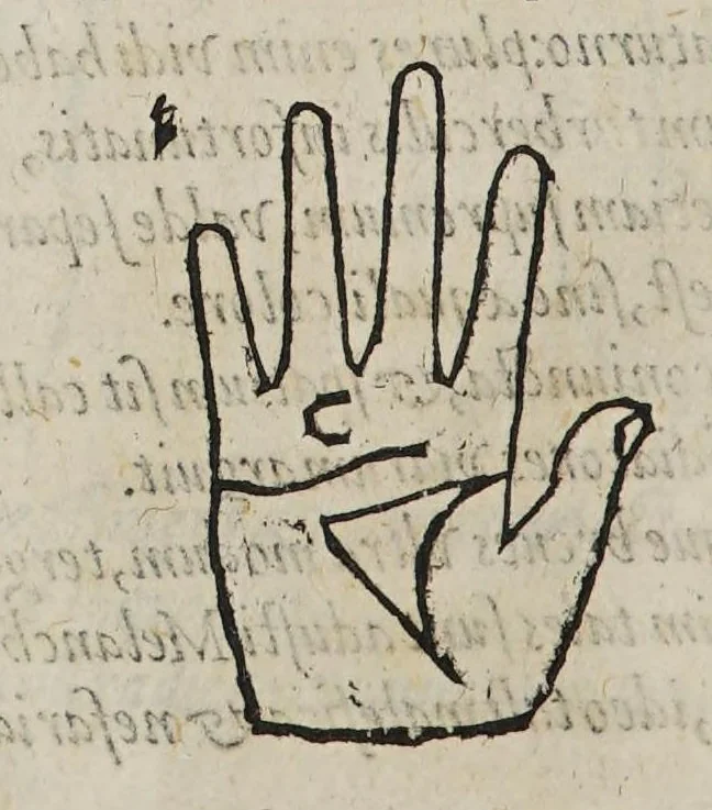 An illustration from Opus mathematicum octo libros complectens, : innumeris propemodum figuris idealibus manuum et physiognomiae, aliisque adornatum, quorum sex priores libri absolutissimae cheiromantiae theoricam, praxim, doctrinam, artem, & experientiam verissimam continent. Septimus physiognomiae dispositionem, hominʹumque omnium qualitates & complexiones. Octauus periaxiomata de faciebus signorum, & quid sol in vnaquaque domo existens, natis polliceatur. Remedia quoque omnium ægritudinum complectitur. Et naturalem astrologiam atq[ue] effectus lunae quoad diuersas ægritudines. Item isagogen astrologiæ iudiciariae, & totius diuinatricis artis encomia. Omnibus matheseos, cheiromantiae, philosophiae, & medicinæ studiosis vtiles ac necessarij., 1583, leaf 344