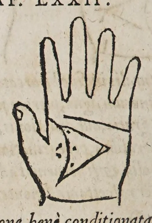 An illustration from Opus mathematicum octo libros complectens, : innumeris propemodum figuris idealibus manuum et physiognomiae, aliisque adornatum, quorum sex priores libri absolutissimae cheiromantiae theoricam, praxim, doctrinam, artem, & experientiam verissimam continent. Septimus physiognomiae dispositionem, hominʹumque omnium qualitates & complexiones. Octauus periaxiomata de faciebus signorum, & quid sol in vnaquaque domo existens, natis polliceatur. Remedia quoque omnium ægritudinum complectitur. Et naturalem astrologiam atq[ue] effectus lunae quoad diuersas ægritudines. Item isagogen astrologiæ iudiciariae, & totius diuinatricis artis encomia. Omnibus matheseos, cheiromantiae, philosophiae, & medicinæ studiosis vtiles ac necessarij., 1583, leaf 360