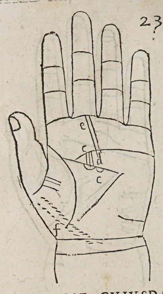 An illustration from Opus mathematicum octo libros complectens, : innumeris propemodum figuris idealibus manuum et physiognomiae, aliisque adornatum, quorum sex priores libri absolutissimae cheiromantiae theoricam, praxim, doctrinam, artem, & experientiam verissimam continent. Septimus physiognomiae dispositionem, hominʹumque omnium qualitates & complexiones. Octauus periaxiomata de faciebus signorum, & quid sol in vnaquaque domo existens, natis polliceatur. Remedia quoque omnium ægritudinum complectitur. Et naturalem astrologiam atq[ue] effectus lunae quoad diuersas ægritudines. Item isagogen astrologiæ iudiciariae, & totius diuinatricis artis encomia. Omnibus matheseos, cheiromantiae, philosophiae, & medicinæ studiosis vtiles ac necessarij., 1583, leaf 426