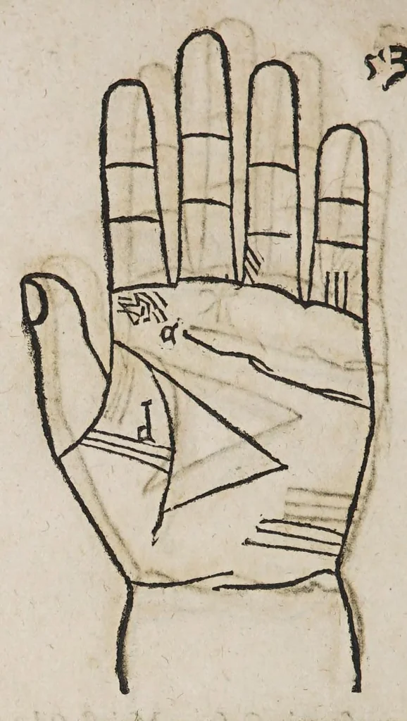 An illustration from Opus mathematicum octo libros complectens, : innumeris propemodum figuris idealibus manuum et physiognomiae, aliisque adornatum, quorum sex priores libri absolutissimae cheiromantiae theoricam, praxim, doctrinam, artem, & experientiam verissimam continent. Septimus physiognomiae dispositionem, hominʹumque omnium qualitates & complexiones. Octauus periaxiomata de faciebus signorum, & quid sol in vnaquaque domo existens, natis polliceatur. Remedia quoque omnium ægritudinum complectitur. Et naturalem astrologiam atq[ue] effectus lunae quoad diuersas ægritudines. Item isagogen astrologiæ iudiciariae, & totius diuinatricis artis encomia. Omnibus matheseos, cheiromantiae, philosophiae, & medicinæ studiosis vtiles ac necessarij., 1583, leaf 456