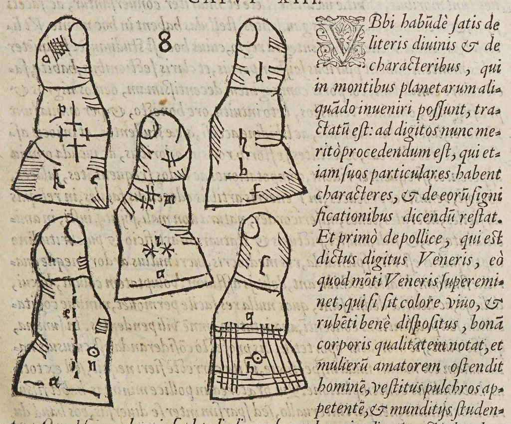 An illustration from Opus mathematicum octo libros complectens, : innumeris propemodum figuris idealibus manuum et physiognomiae, aliisque adornatum, quorum sex priores libri absolutissimae cheiromantiae theoricam, praxim, doctrinam, artem, & experientiam verissimam continent. Septimus physiognomiae dispositionem, hominʹumque omnium qualitates & complexiones. Octauus periaxiomata de faciebus signorum, & quid sol in vnaquaque domo existens, natis polliceatur. Remedia quoque omnium ægritudinum complectitur. Et naturalem astrologiam atq[ue] effectus lunae quoad diuersas ægritudines. Item isagogen astrologiæ iudiciariae, & totius diuinatricis artis encomia. Omnibus matheseos, cheiromantiae, philosophiae, & medicinæ studiosis vtiles ac necessarij., 1583, leaf 51