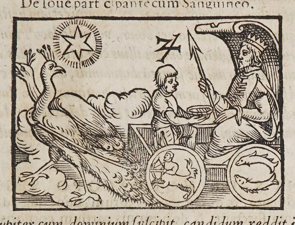 An illustration from Opus mathematicum octo libros complectens, : innumeris propemodum figuris idealibus manuum et physiognomiae, aliisque adornatum, quorum sex priores libri absolutissimae cheiromantiae theoricam, praxim, doctrinam, artem, & experientiam verissimam continent. Septimus physiognomiae dispositionem, hominʹumque omnium qualitates & complexiones. Octauus periaxiomata de faciebus signorum, & quid sol in vnaquaque domo existens, natis polliceatur. Remedia quoque omnium ægritudinum complectitur. Et naturalem astrologiam atq[ue] effectus lunae quoad diuersas ægritudines. Item isagogen astrologiæ iudiciariae, & totius diuinatricis artis encomia. Omnibus matheseos, cheiromantiae, philosophiae, & medicinæ studiosis vtiles ac necessarij., 1583, leaf 551