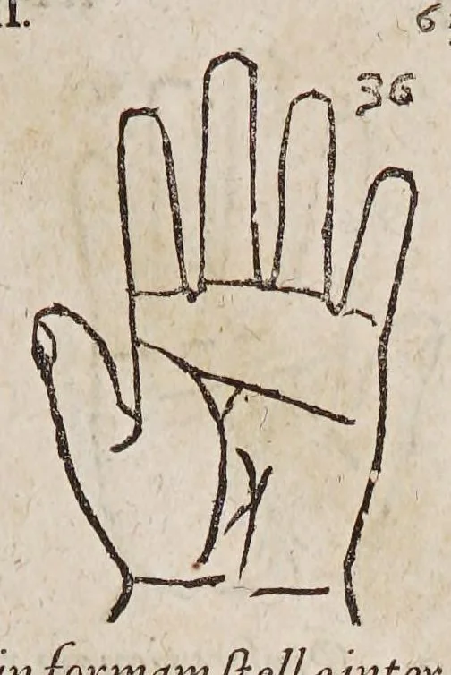 An illustration from Opus mathematicum octo libros complectens, : innumeris propemodum figuris idealibus manuum et physiognomiae, aliisque adornatum, quorum sex priores libri absolutissimae cheiromantiae theoricam, praxim, doctrinam, artem, & experientiam verissimam continent. Septimus physiognomiae dispositionem, hominʹumque omnium qualitates & complexiones. Octauus periaxiomata de faciebus signorum, & quid sol in vnaquaque domo existens, natis polliceatur. Remedia quoque omnium ægritudinum complectitur. Et naturalem astrologiam atq[ue] effectus lunae quoad diuersas ægritudines. Item isagogen astrologiæ iudiciariae, & totius diuinatricis artis encomia. Omnibus matheseos, cheiromantiae, philosophiae, & medicinæ studiosis vtiles ac necessarij., 1583, leaf 79