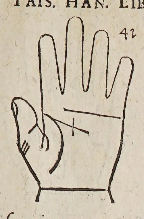 An illustration from Opus mathematicum octo libros complectens, : innumeris propemodum figuris idealibus manuum et physiognomiae, aliisque adornatum, quorum sex priores libri absolutissimae cheiromantiae theoricam, praxim, doctrinam, artem, & experientiam verissimam continent. Septimus physiognomiae dispositionem, hominʹumque omnium qualitates & complexiones. Octauus periaxiomata de faciebus signorum, & quid sol in vnaquaque domo existens, natis polliceatur. Remedia quoque omnium ægritudinum complectitur. Et naturalem astrologiam atq[ue] effectus lunae quoad diuersas ægritudines. Item isagogen astrologiæ iudiciariae, & totius diuinatricis artis encomia. Omnibus matheseos, cheiromantiae, philosophiae, & medicinæ studiosis vtiles ac necessarij., 1583, leaf 95