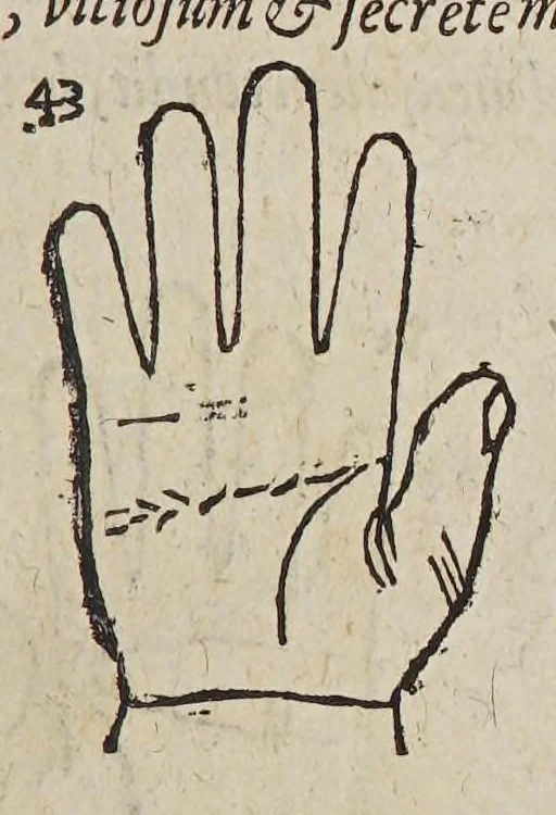 An illustration from Opus mathematicum octo libros complectens, : innumeris propemodum figuris idealibus manuum et physiognomiae, aliisque adornatum, quorum sex priores libri absolutissimae cheiromantiae theoricam, praxim, doctrinam, artem, & experientiam verissimam continent. Septimus physiognomiae dispositionem, hominʹumque omnium qualitates & complexiones. Octauus periaxiomata de faciebus signorum, & quid sol in vnaquaque domo existens, natis polliceatur. Remedia quoque omnium ægritudinum complectitur. Et naturalem astrologiam atq[ue] effectus lunae quoad diuersas ægritudines. Item isagogen astrologiæ iudiciariae, & totius diuinatricis artis encomia. Omnibus matheseos, cheiromantiae, philosophiae, & medicinæ studiosis vtiles ac necessarij., 1583, leaf 95