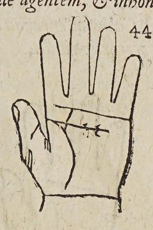 An illustration from Opus mathematicum octo libros complectens, : innumeris propemodum figuris idealibus manuum et physiognomiae, aliisque adornatum, quorum sex priores libri absolutissimae cheiromantiae theoricam, praxim, doctrinam, artem, & experientiam verissimam continent. Septimus physiognomiae dispositionem, hominʹumque omnium qualitates & complexiones. Octauus periaxiomata de faciebus signorum, & quid sol in vnaquaque domo existens, natis polliceatur. Remedia quoque omnium ægritudinum complectitur. Et naturalem astrologiam atq[ue] effectus lunae quoad diuersas ægritudines. Item isagogen astrologiæ iudiciariae, & totius diuinatricis artis encomia. Omnibus matheseos, cheiromantiae, philosophiae, & medicinæ studiosis vtiles ac necessarij., 1583, leaf 95
