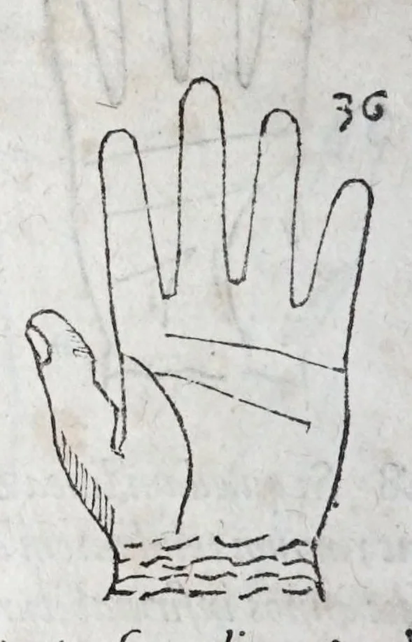 An illustration from Opvs mathematicvm octo libros complectens : innvmeris propemodvm figvris idealibvs manvvm et physiognomiae, aliisqve adornatvm, qvorvm sex priores libri absolutissimae cheiromantiae theoricam, praxim, doctrinam, artem, & experientiam verissimam continent : septimus physiognomiae dispositionem, hominumque omnium qualitates & complexiones : octauus periaxiomata de faciebus signorum, & quid sol in vnaquaque domo existens, natis polliceatur : remedia quoq; omnium aegritudinum complectitur : et naturalem astrologiam atq; effectus lunae quoad diuersas aegritudines : item isagogen astrologiae iudiciariae, & totius diuinatricis artis encomia ..., 1562, leaf 126