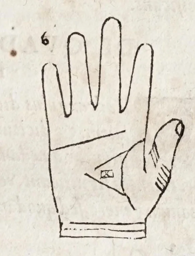 An illustration from Opvs mathematicvm octo libros complectens : innvmeris propemodvm figvris idealibvs manvvm et physiognomiae, aliisqve adornatvm, qvorvm sex priores libri absolutissimae cheiromantiae theoricam, praxim, doctrinam, artem, & experientiam verissimam continent : septimus physiognomiae dispositionem, hominumque omnium qualitates & complexiones : octauus periaxiomata de faciebus signorum, & quid sol in vnaquaque domo existens, natis polliceatur : remedia quoq; omnium aegritudinum complectitur : et naturalem astrologiam atq; effectus lunae quoad diuersas aegritudines : item isagogen astrologiae iudiciariae, & totius diuinatricis artis encomia ..., 1562, leaf 139