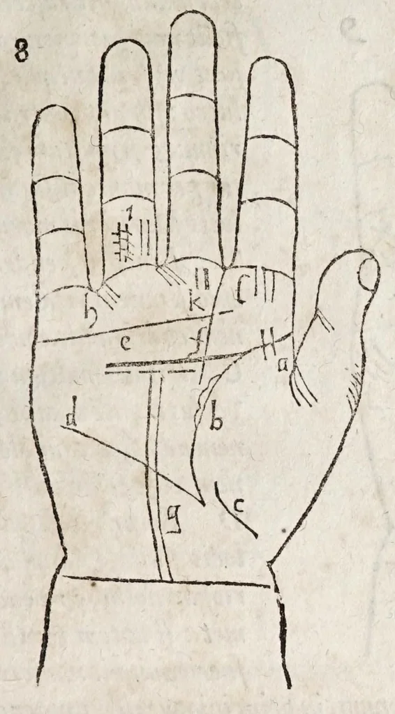 An illustration from Opvs mathematicvm octo libros complectens : innvmeris propemodvm figvris idealibvs manvvm et physiognomiae, aliisqve adornatvm, qvorvm sex priores libri absolutissimae cheiromantiae theoricam, praxim, doctrinam, artem, & experientiam verissimam continent : septimus physiognomiae dispositionem, hominumque omnium qualitates & complexiones : octauus periaxiomata de faciebus signorum, & quid sol in vnaquaque domo existens, natis polliceatur : remedia quoq; omnium aegritudinum complectitur : et naturalem astrologiam atq; effectus lunae quoad diuersas aegritudines : item isagogen astrologiae iudiciariae, & totius diuinatricis artis encomia ..., 1562, leaf 167