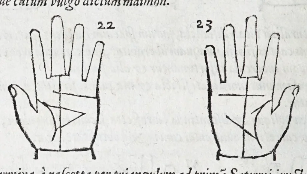 An illustration from Opvs mathematicvm octo libros complectens : innvmeris propemodvm figvris idealibvs manvvm et physiognomiae, aliisqve adornatvm, qvorvm sex priores libri absolutissimae cheiromantiae theoricam, praxim, doctrinam, artem, & experientiam verissimam continent : septimus physiognomiae dispositionem, hominumque omnium qualitates & complexiones : octauus periaxiomata de faciebus signorum, & quid sol in vnaquaque domo existens, natis polliceatur : remedia quoq; omnium aegritudinum complectitur : et naturalem astrologiam atq; effectus lunae quoad diuersas aegritudines : item isagogen astrologiae iudiciariae, & totius diuinatricis artis encomia ..., 1562, leaf 276