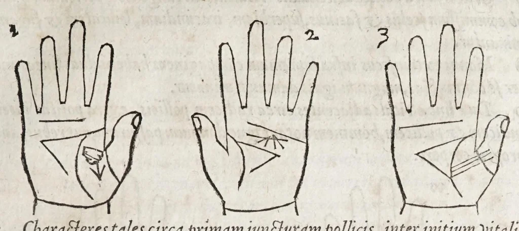 An illustration from Opvs mathematicvm octo libros complectens : innvmeris propemodvm figvris idealibvs manvvm et physiognomiae, aliisqve adornatvm, qvorvm sex priores libri absolutissimae cheiromantiae theoricam, praxim, doctrinam, artem, & experientiam verissimam continent : septimus physiognomiae dispositionem, hominumque omnium qualitates & complexiones : octauus periaxiomata de faciebus signorum, & quid sol in vnaquaque domo existens, natis polliceatur : remedia quoq; omnium aegritudinum complectitur : et naturalem astrologiam atq; effectus lunae quoad diuersas aegritudines : item isagogen astrologiae iudiciariae, & totius diuinatricis artis encomia ..., 1562, leaf 283
