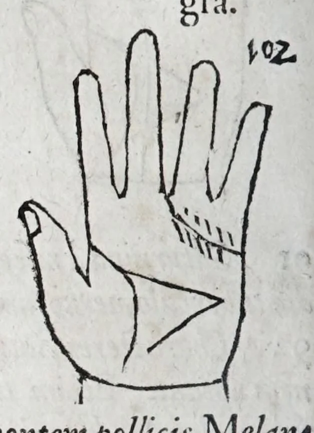 An illustration from Opvs mathematicvm octo libros complectens : innvmeris propemodvm figvris idealibvs manvvm et physiognomiae, aliisqve adornatvm, qvorvm sex priores libri absolutissimae cheiromantiae theoricam, praxim, doctrinam, artem, & experientiam verissimam continent : septimus physiognomiae dispositionem, hominumque omnium qualitates & complexiones : octauus periaxiomata de faciebus signorum, & quid sol in vnaquaque domo existens, natis polliceatur : remedia quoq; omnium aegritudinum complectitur : et naturalem astrologiam atq; effectus lunae quoad diuersas aegritudines : item isagogen astrologiae iudiciariae, & totius diuinatricis artis encomia ..., 1562, leaf 302