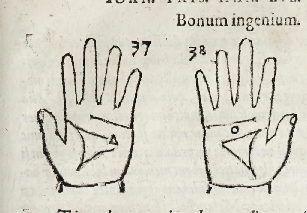 An illustration from Opvs mathematicvm octo libros complectens : innvmeris propemodvm figvris idealibvs manvvm et physiognomiae, aliisqve adornatvm, qvorvm sex priores libri absolutissimae cheiromantiae theoricam, praxim, doctrinam, artem, & experientiam verissimam continent : septimus physiognomiae dispositionem, hominumque omnium qualitates & complexiones : octauus periaxiomata de faciebus signorum, & quid sol in vnaquaque domo existens, natis polliceatur : remedia quoq; omnium aegritudinum complectitur : et naturalem astrologiam atq; effectus lunae quoad diuersas aegritudines : item isagogen astrologiae iudiciariae, & totius diuinatricis artis encomia ..., 1562, leaf 323