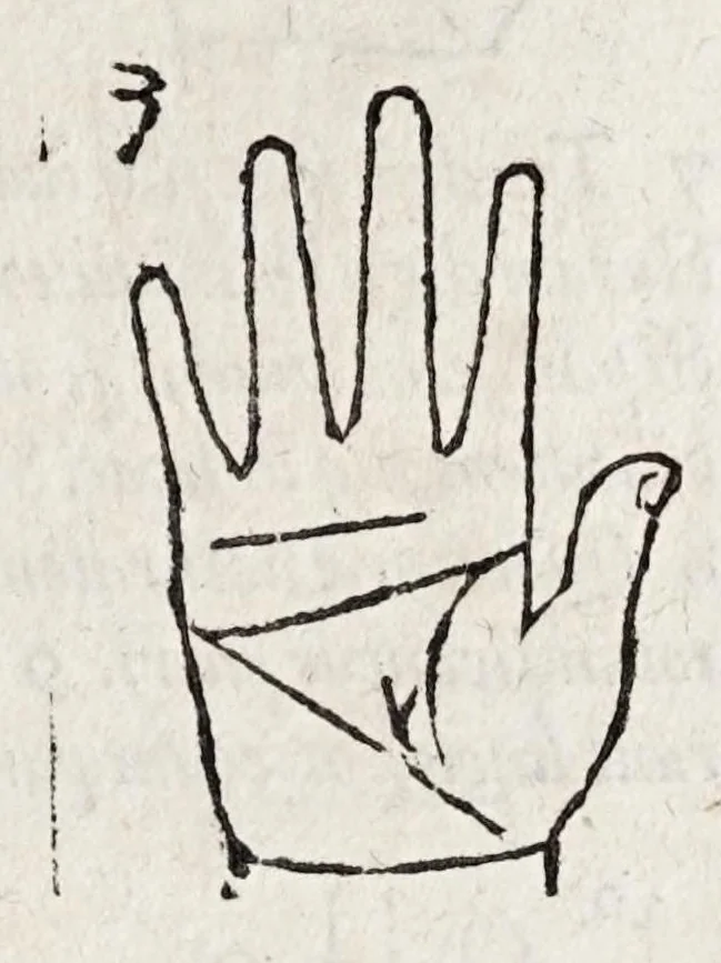 An illustration from Opvs mathematicvm octo libros complectens : innvmeris propemodvm figvris idealibvs manvvm et physiognomiae, aliisqve adornatvm, qvorvm sex priores libri absolutissimae cheiromantiae theoricam, praxim, doctrinam, artem, & experientiam verissimam continent : septimus physiognomiae dispositionem, hominumque omnium qualitates & complexiones : octauus periaxiomata de faciebus signorum, & quid sol in vnaquaque domo existens, natis polliceatur : remedia quoq; omnium aegritudinum complectitur : et naturalem astrologiam atq; effectus lunae quoad diuersas aegritudines : item isagogen astrologiae iudiciariae, & totius diuinatricis artis encomia ..., 1562, leaf 333