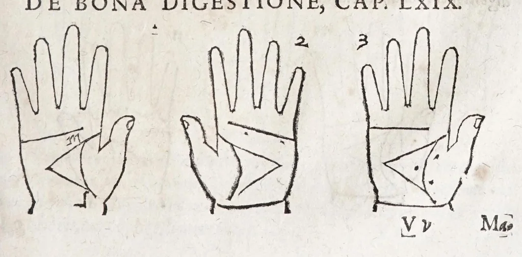 An illustration from Opvs mathematicvm octo libros complectens : innvmeris propemodvm figvris idealibvs manvvm et physiognomiae, aliisqve adornatvm, qvorvm sex priores libri absolutissimae cheiromantiae theoricam, praxim, doctrinam, artem, & experientiam verissimam continent : septimus physiognomiae dispositionem, hominumque omnium qualitates & complexiones : octauus periaxiomata de faciebus signorum, & quid sol in vnaquaque domo existens, natis polliceatur : remedia quoq; omnium aegritudinum complectitur : et naturalem astrologiam atq; effectus lunae quoad diuersas aegritudines : item isagogen astrologiae iudiciariae, & totius diuinatricis artis encomia ..., 1562, leaf 353