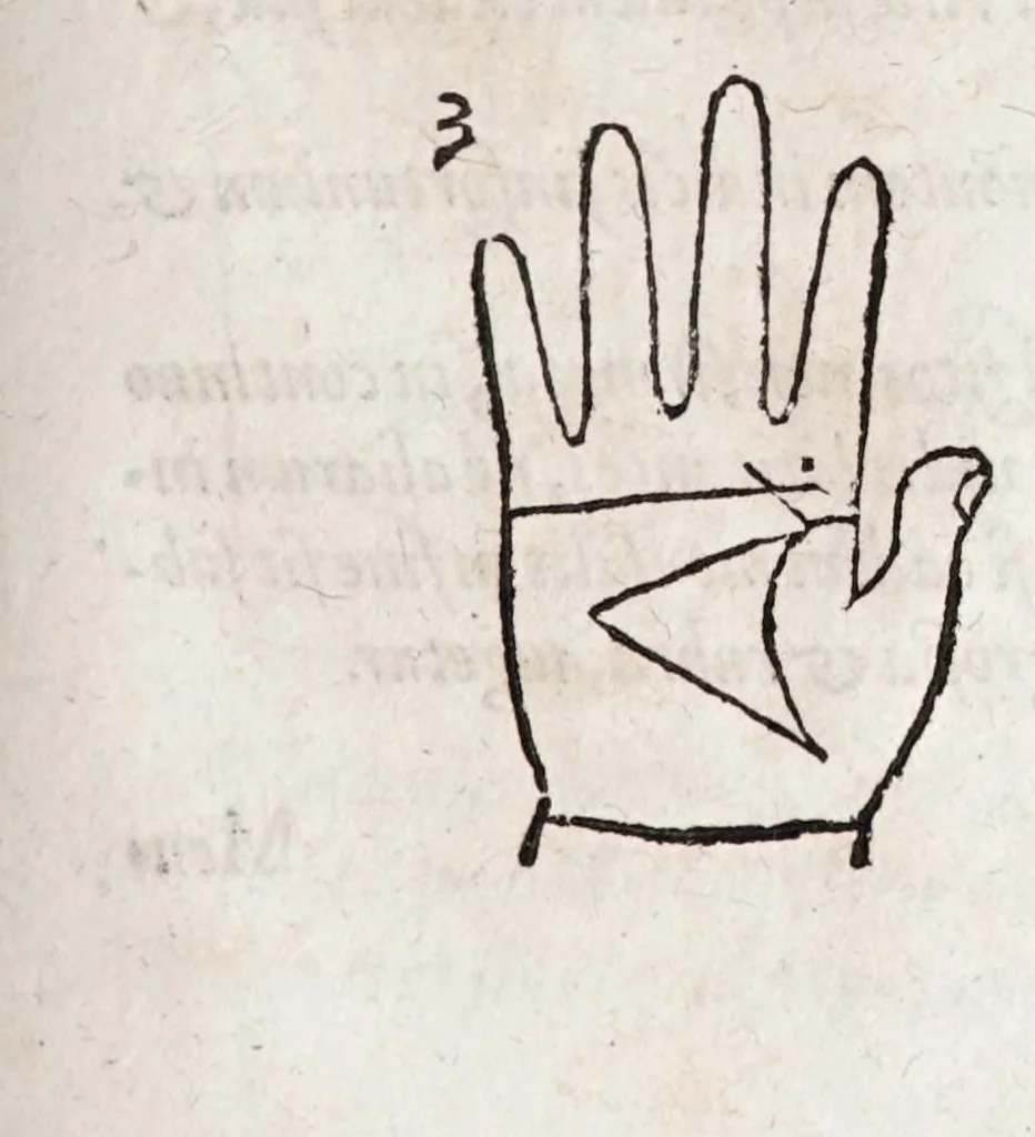 An illustration from Opvs mathematicvm octo libros complectens : innvmeris propemodvm figvris idealibvs manvvm et physiognomiae, aliisqve adornatvm, qvorvm sex priores libri absolutissimae cheiromantiae theoricam, praxim, doctrinam, artem, & experientiam verissimam continent : septimus physiognomiae dispositionem, hominumque omnium qualitates & complexiones : octauus periaxiomata de faciebus signorum, & quid sol in vnaquaque domo existens, natis polliceatur : remedia quoq; omnium aegritudinum complectitur : et naturalem astrologiam atq; effectus lunae quoad diuersas aegritudines : item isagogen astrologiae iudiciariae, & totius diuinatricis artis encomia ..., 1562, leaf 369