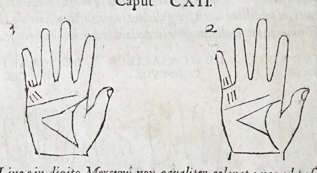 An illustration from Opvs mathematicvm octo libros complectens : innvmeris propemodvm figvris idealibvs manvvm et physiognomiae, aliisqve adornatvm, qvorvm sex priores libri absolutissimae cheiromantiae theoricam, praxim, doctrinam, artem, & experientiam verissimam continent : septimus physiognomiae dispositionem, hominumque omnium qualitates & complexiones : octauus periaxiomata de faciebus signorum, & quid sol in vnaquaque domo existens, natis polliceatur : remedia quoq; omnium aegritudinum complectitur : et naturalem astrologiam atq; effectus lunae quoad diuersas aegritudines : item isagogen astrologiae iudiciariae, & totius diuinatricis artis encomia ..., 1562, leaf 380