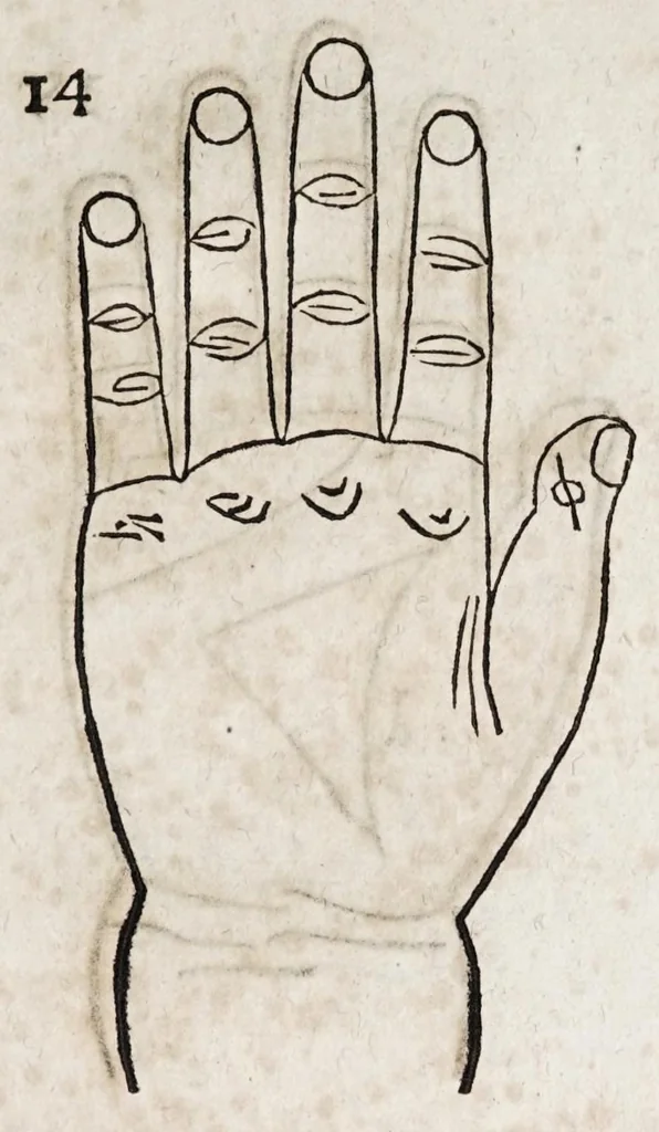An illustration from Opvs mathematicvm octo libros complectens : innvmeris propemodvm figvris idealibvs manvvm et physiognomiae, aliisqve adornatvm, qvorvm sex priores libri absolutissimae cheiromantiae theoricam, praxim, doctrinam, artem, & experientiam verissimam continent : septimus physiognomiae dispositionem, hominumque omnium qualitates & complexiones : octauus periaxiomata de faciebus signorum, & quid sol in vnaquaque domo existens, natis polliceatur : remedia quoq; omnium aegritudinum complectitur : et naturalem astrologiam atq; effectus lunae quoad diuersas aegritudines : item isagogen astrologiae iudiciariae, & totius diuinatricis artis encomia ..., 1562, leaf 417