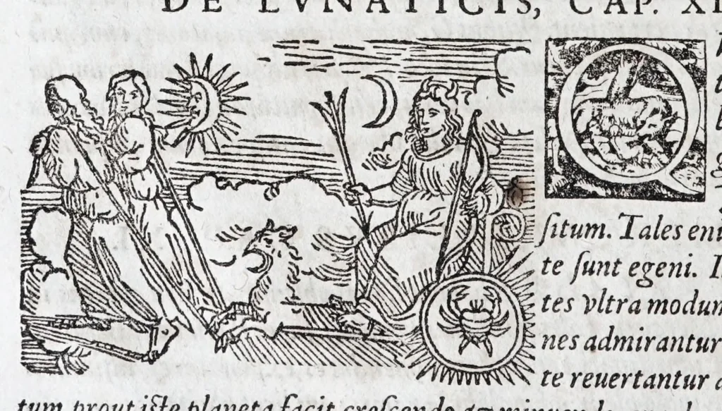 An illustration from Opvs mathematicvm octo libros complectens : innvmeris propemodvm figvris idealibvs manvvm et physiognomiae, aliisqve adornatvm, qvorvm sex priores libri absolutissimae cheiromantiae theoricam, praxim, doctrinam, artem, & experientiam verissimam continent : septimus physiognomiae dispositionem, hominumque omnium qualitates & complexiones : octauus periaxiomata de faciebus signorum, & quid sol in vnaquaque domo existens, natis polliceatur : remedia quoq; omnium aegritudinum complectitur : et naturalem astrologiam atq; effectus lunae quoad diuersas aegritudines : item isagogen astrologiae iudiciariae, & totius diuinatricis artis encomia ..., 1562, leaf 50