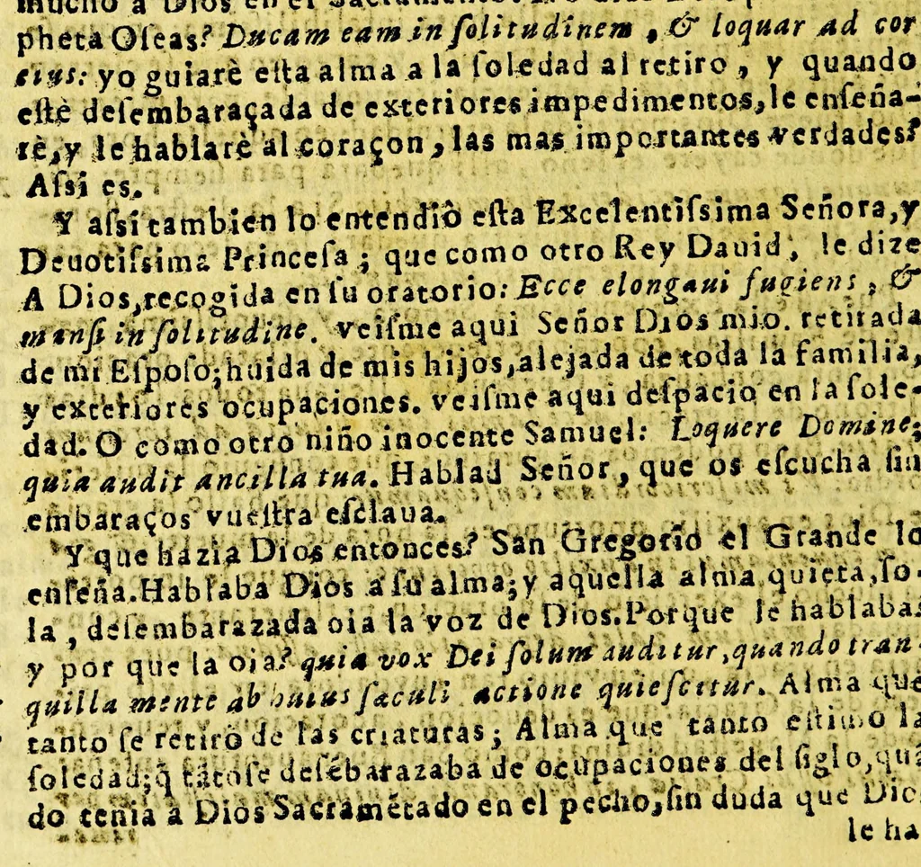 An illustration from Oracion funebre panegyrica en las honras que hizo el Conuento Grande de S[an] Francisco de Iesus de Lima. : A la exc[elentissi]ma s[eño]ra d[oña] Hypolita de Cordoua y Cardona, condesa de Alua de Aliste y de Villaflor, virreyna de la Nueua España, y del Peru. Dedicala al exc[elentissi]mo s[eñ]or don Luis Henriquez de Guzman, conde de Alua de Aliste, y Villaflor, grande de España, dignissimo virrey del Peru., 1660, leaf 28