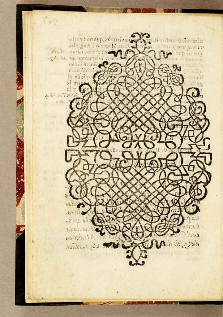 An illustration from Oracion funebre, que hizieron sus esclarecidas obras â la muerte de nuestra serenissima reyna doña Mariana de Austria: : en el dia, que obsequioso, triste, y agradecido celebrò las honras de su cessarea magestad, el illustre, y religioso convento de N.P.S. Francisco de la ciudad de Zacatecas, con asistencia del clero, religiones, y la ciudad plena., 1697, leaf 20