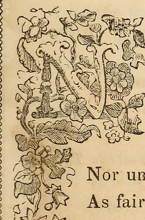 An illustration from Oracles from the poets: a fanciful diversion for the drawing room, 1845, leaf 44
