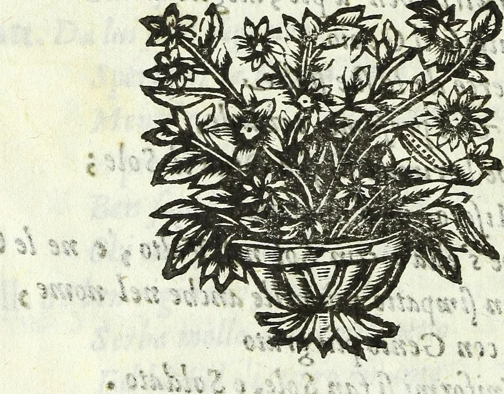 An illustration from Oracolo d'Apollo, concerto mvsicale da cantarsi nell'Accademia degl'Oscvri, alla presenza delle sig. dame per introdvttione al problema chi debba esser preferito in amore, il valore, il genio, o'la servtiv', 1650, leaf 13