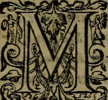 An illustration from Oraison funèbre prononcée, en l'église Nostre Dame de Paris, aux funerailles de messire Anne de Montmorency..., 1567, leaf 6