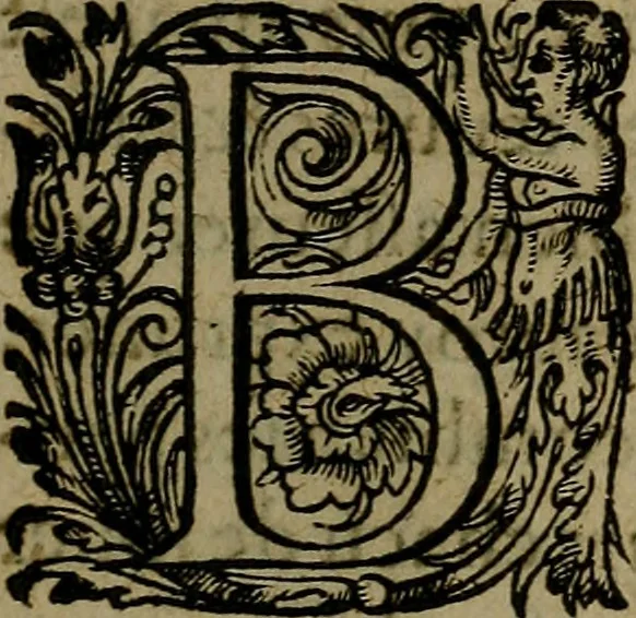 An illustration from Oraison funèbre prononcée, en l'église Nostre Dame de Paris, aux funerailles de messire Anne de Montmorency..., 1567, leaf 8