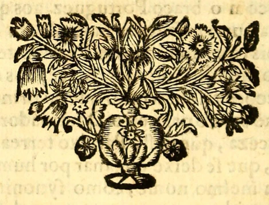 An illustration from Oraçoens gratulatorias na feliz vinda da muito alta, e muito poderosa rainha da Gram Bretanha, : compostas, e recitadas na Igreja da Divina Providencia à nobreza de Portugal nas tres ultimas tardes do mez de janeiro de 1693., 1693, leaf 56