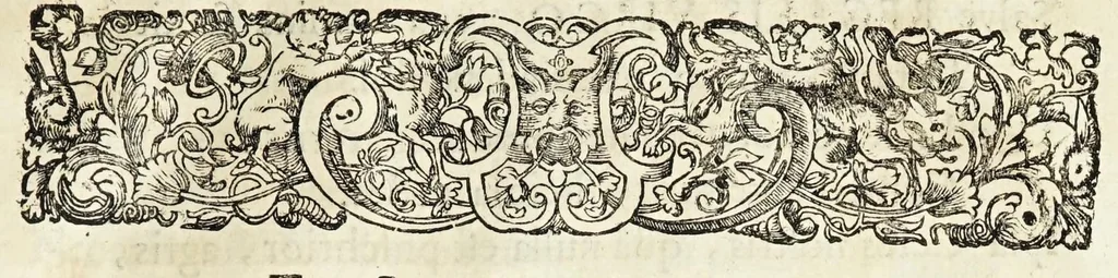 An illustration from Oratio inauguralis sacris augustissimarum nuptiarum solennibus serenissimi Principis ac Domini Dn. Caroli, D.G. Comitis Palatini ad Rhenum, electoralis dignitatis haeredis, ducis Bavariae et serenissimae Daniae et Novvegiae principis haeredis Wilhelminae Ernestinae, divi Friderici III. Daniae, Norwegiae, Gothorum Vandalorumque regis filiae, 1671, leaf 29
