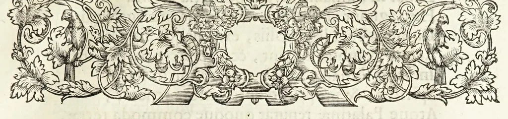 An illustration from Oratio inauguralis sacris augustissimarum nuptiarum solennibus serenissimi Principis ac Domini Dn. Caroli, D.G. Comitis Palatini ad Rhenum, electoralis dignitatis haeredis, ducis Bavariae et serenissimae Daniae et Novvegiae principis haeredis Wilhelminae Ernestinae, divi Friderici III. Daniae, Norwegiae, Gothorum Vandalorumque regis filiae, 1671, leaf 33