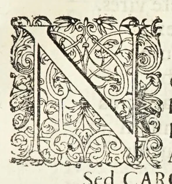An illustration from Oratio inauguralis sacris augustissimarum nuptiarum solennibus serenissimi Principis ac Domini Dn. Caroli, D.G. Comitis Palatini ad Rhenum, electoralis dignitatis haeredis, ducis Bavariae et serenissimae Daniae et Novvegiae principis haeredis Wilhelminae Ernestinae, divi Friderici III. Daniae, Norwegiae, Gothorum Vandalorumque regis filiae, 1671, leaf 33