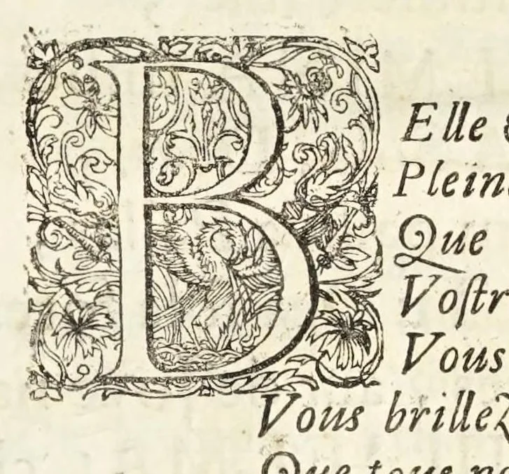 An illustration from Oratio inauguralis sacris augustissimarum nuptiarum solennibus serenissimi Principis ac Domini Dn. Caroli, D.G. Comitis Palatini ad Rhenum, electoralis dignitatis haeredis, ducis Bavariae et serenissimae Daniae et Novvegiae principis haeredis Wilhelminae Ernestinae, divi Friderici III. Daniae, Norwegiae, Gothorum Vandalorumque regis filiae, 1671, leaf 49