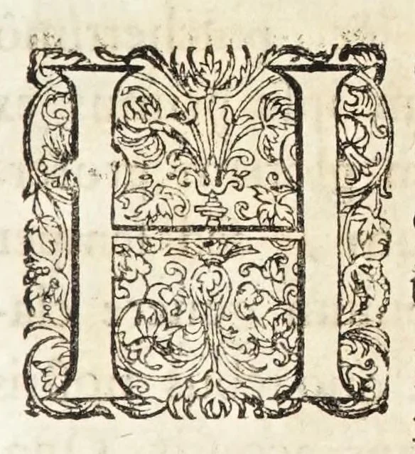 An illustration from Oratio inauguralis sacris augustissimarum nuptiarum solennibus serenissimi Principis ac Domini Dn. Caroli, D.G. Comitis Palatini ad Rhenum, electoralis dignitatis haeredis, ducis Bavariae et serenissimae Daniae et Novvegiae principis haeredis Wilhelminae Ernestinae, divi Friderici III. Daniae, Norwegiae, Gothorum Vandalorumque regis filiae, 1671, leaf 5