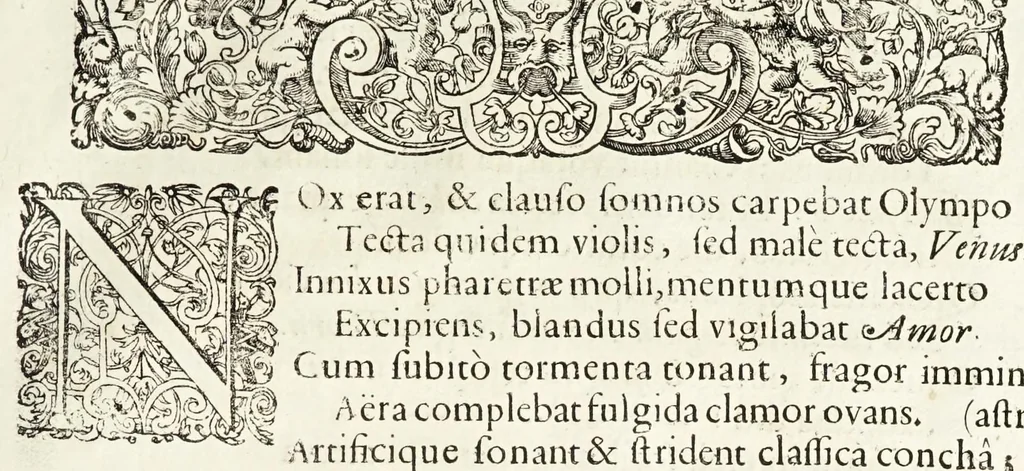An illustration from Oratio inauguralis sacris augustissimarum nuptiarum solennibus serenissimi Principis ac Domini Dn. Caroli, D.G. Comitis Palatini ad Rhenum, electoralis dignitatis haeredis, ducis Bavariae et serenissimae Daniae et Novvegiae principis haeredis Wilhelminae Ernestinae, divi Friderici III. Daniae, Norwegiae, Gothorum Vandalorumque regis filiae, 1671, leaf 57