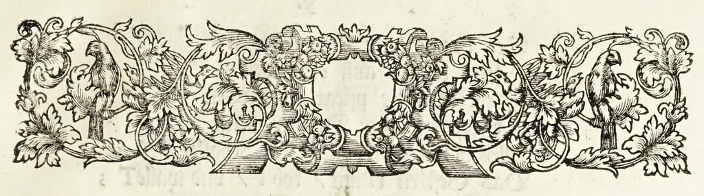 An illustration from Oratio inauguralis sacris augustissimarum nuptiarum solennibus serenissimi Principis ac Domini Dn. Caroli, D.G. Comitis Palatini ad Rhenum, electoralis dignitatis haeredis, ducis Bavariae et serenissimae Daniae et Novvegiae principis haeredis Wilhelminae Ernestinae, divi Friderici III. Daniae, Norwegiae, Gothorum Vandalorumque regis filiae, 1671, leaf 61