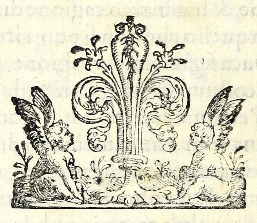 An illustration from Oratio Ioannisbaptistae Adrianii habita in fvnere Cosmi Medicis magni Etruriae ducis, 1574, leaf 46