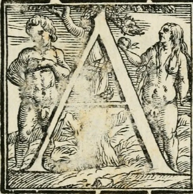 An illustration from Oratione de le lode di Francesco Medici, gran dvca di Toscana : fatta per ordine de l'Academia fiorentina nel tempio di San Lorenzo il dì XXI di dicembre nel consolato di m. Baccio Valori, 1587, leaf 6