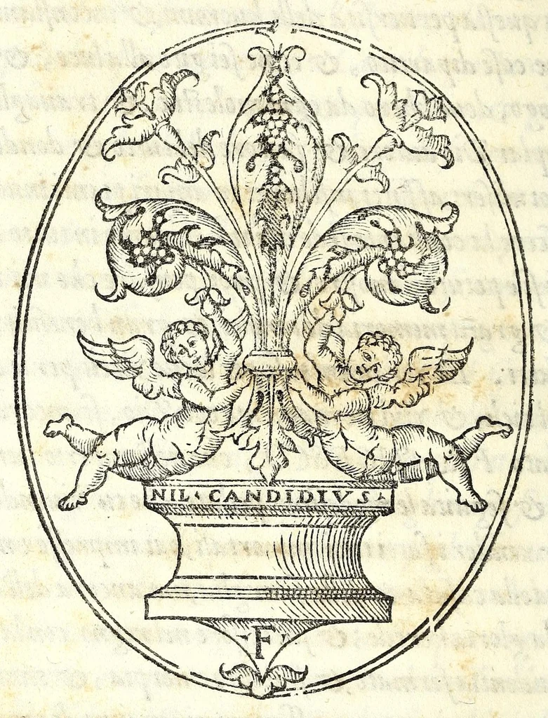An illustration from Oratione fvnerale di M. Pietro Angelio da Barga, fatta nelle esseqvie del sereniss. Cosimo de Medici, gran duca di Toscana : recitata nel duomo di Pisa il di xiiij giugno MDLXXIIII e tradotta in lingva fiorentina, 1574, leaf 32