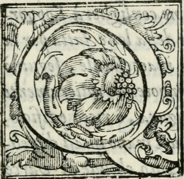 An illustration from Oratione fvnerale di Lorenzo Dvcci nell'essequie di Torqvato Tasso, 1600, leaf 6