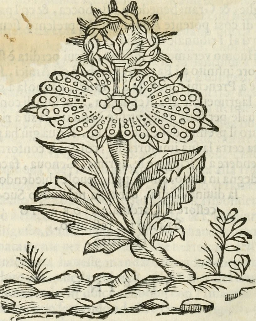 An illustration from Oratione fvnerale fatta nelle essequie dell'illustriss. e reuerendiss. sig. card. Spinola, arciuesc. di Genoua, 1616, leaf 41
