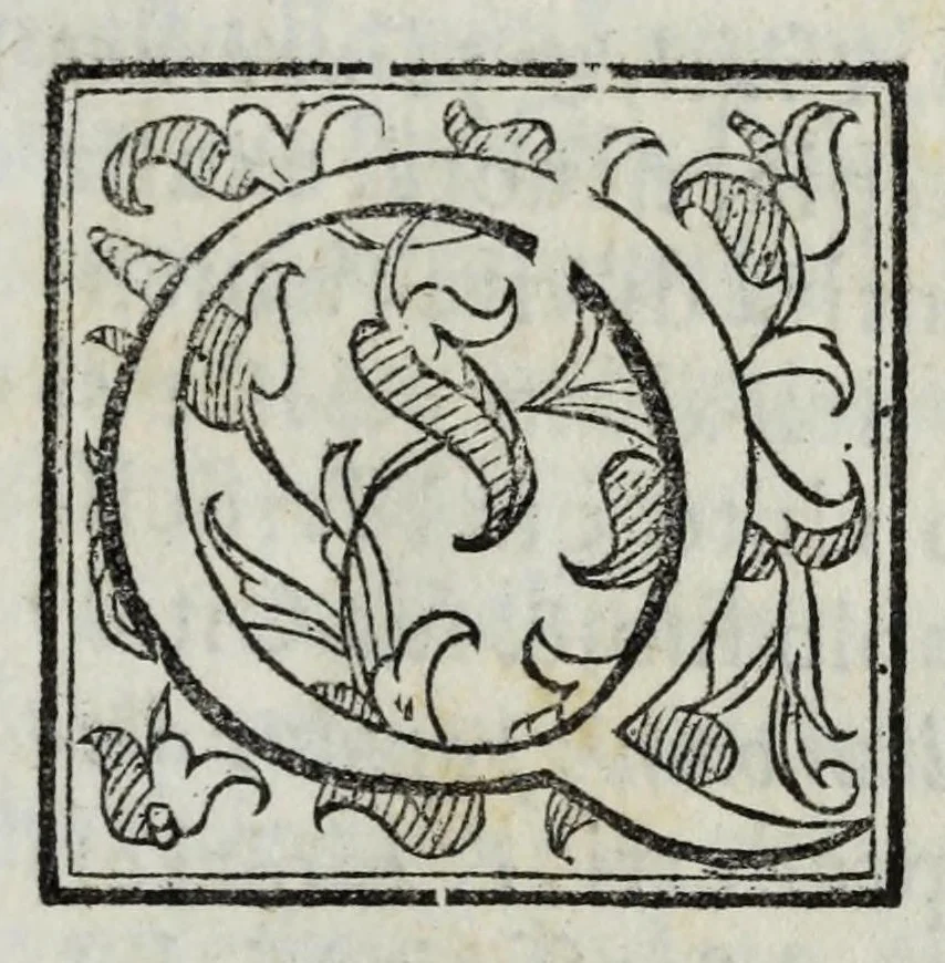 An illustration from Oratione, overo, Predica funebre : nella quale si contiene le molte virtù, & santa vita, & beato fine della serenissima infante donna Lisabetta, christianissima regina di Francia, nata regina d'Vngaria e di Boemia, & arciduchessa d'Austria, 1593, leaf 9