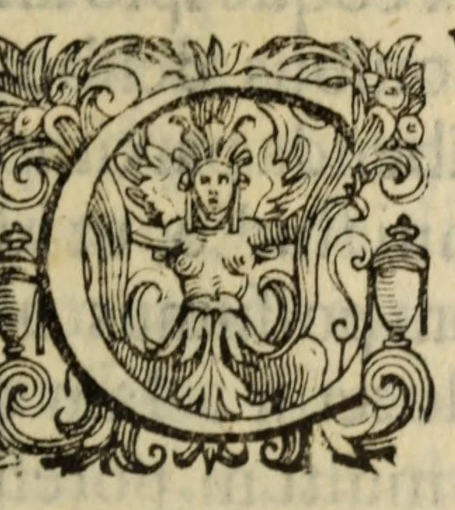 An illustration from Orationes, XXIII earum index statim post praesationem continetur : eiusdem interpretatio quincti libri Ethicorum Aristotelis ad Nicomachum : eiusdem hymni sacri & alia quaedam poematia, 1575, leaf 343
