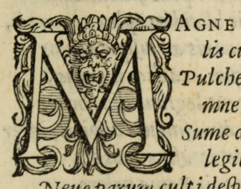 An illustration from Orationes, XXIII earum index statim post praesationem continetur : eiusdem interpretatio quincti libri Ethicorum Aristotelis ad Nicomachum : eiusdem hymni sacri & alia quaedam poematia, 1575, leaf 391