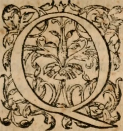 An illustration from Orationes Aeschinis et Demosthenis inter se contrariae à Dionysio Lambino ... in Latinum sermonem conuersae, 1565, leaf 16