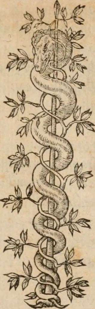 An illustration from Orationes Aeschinis et Demosthenis inter se contrariae à Dionysio Lambino ... in Latinum sermonem conuersae, 1565, leaf 4