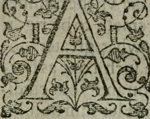 An illustration from The orator: handling a hundred seuerall discourses, in forme of declamations: some of the arguments being drawne from Titus Liuius and other ancient writers, the rest of the authors owne inuention: part of which are of matters happened in our age, 1596, leaf 155